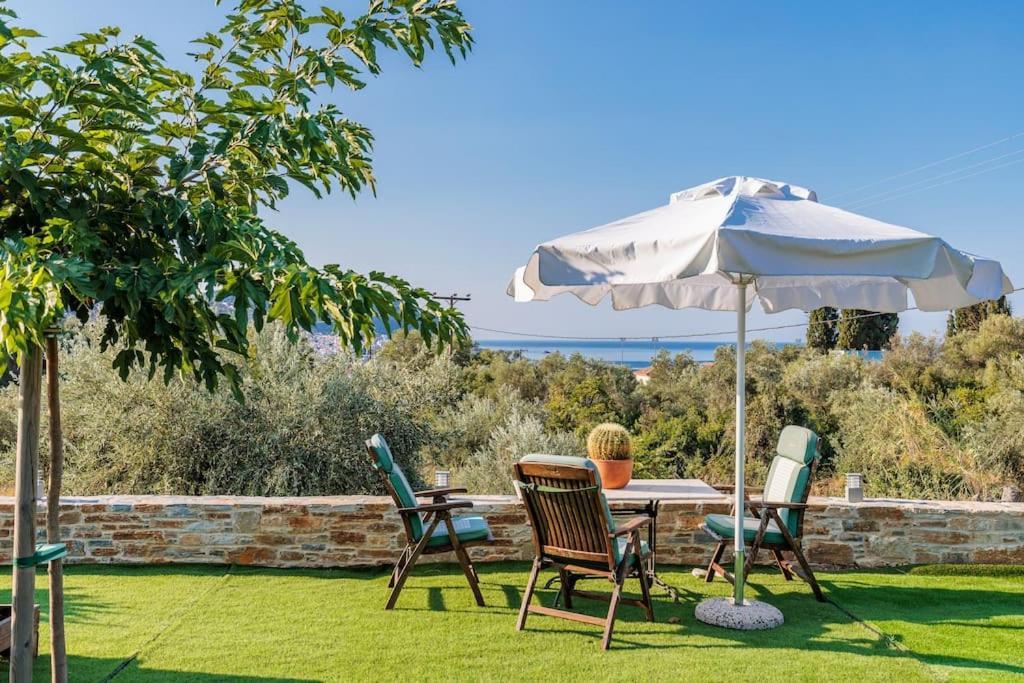 Skopelos Blue Heaven Pool Villa In Olive Grove Exterior photo