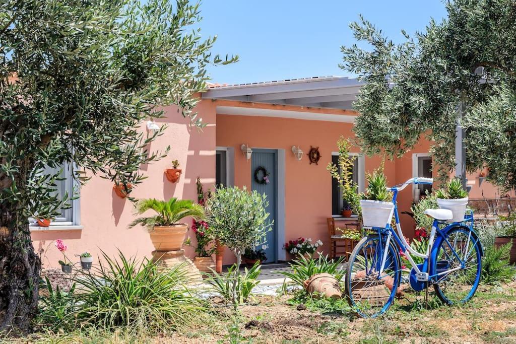 Skopelos Blue Heaven Pool Villa In Olive Grove Exterior photo