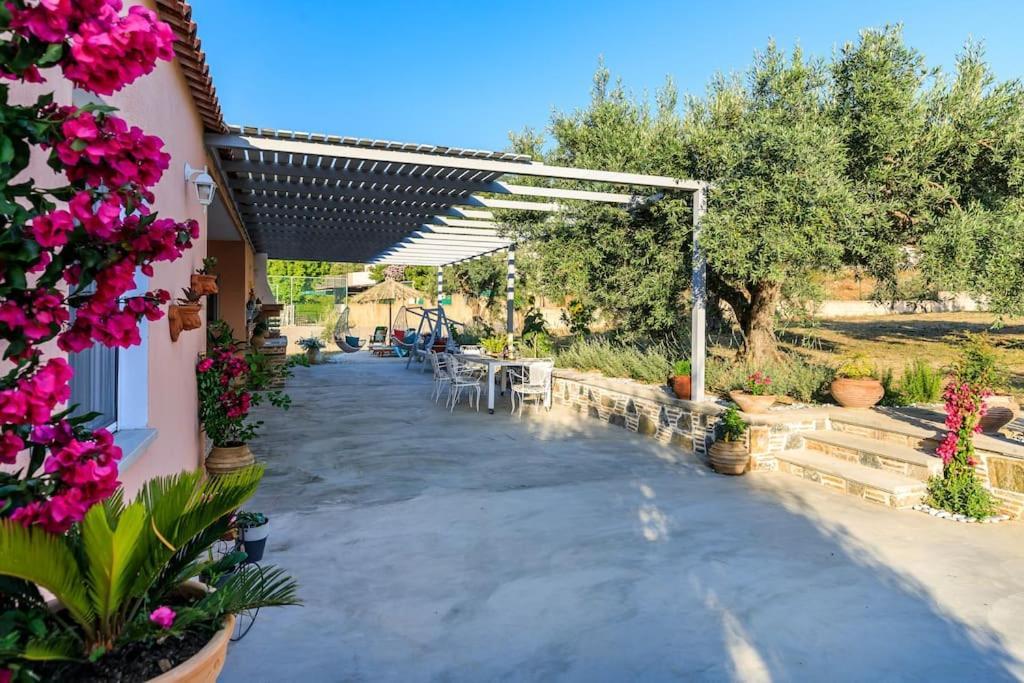 Skopelos Blue Heaven Pool Villa In Olive Grove Exterior photo